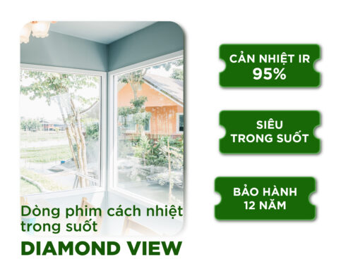Phim cách nhiệt DV01